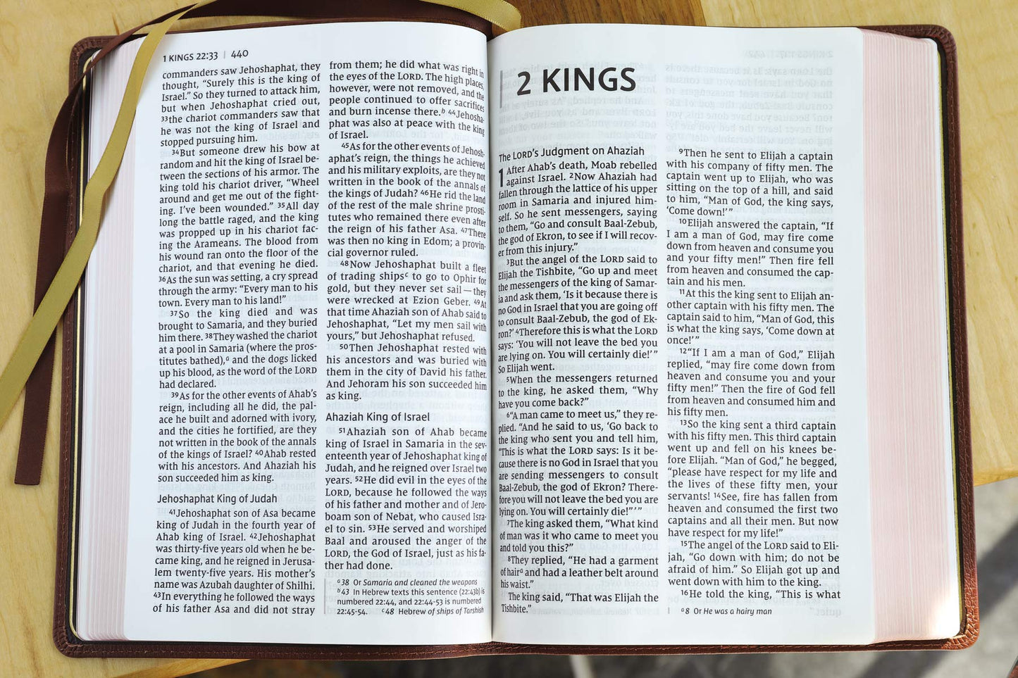 NIV, Thinline Bible, Giant Print, Genuine Leather, Buffalo, Brown, Red Letter, Art Gilded Edges, Comfort Print