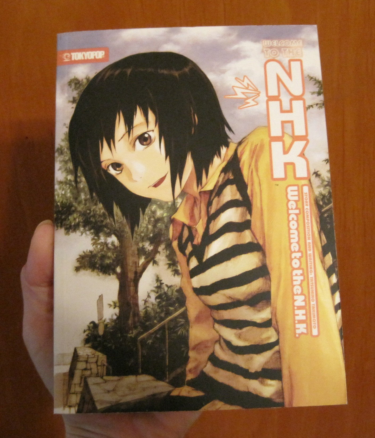 Welcome to the NHK (Novel)