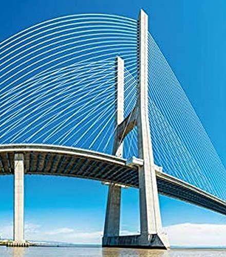 Engineering Fundamentals: An Introduction to Engineering (MindTap Course List) Moaveni, Saeed
