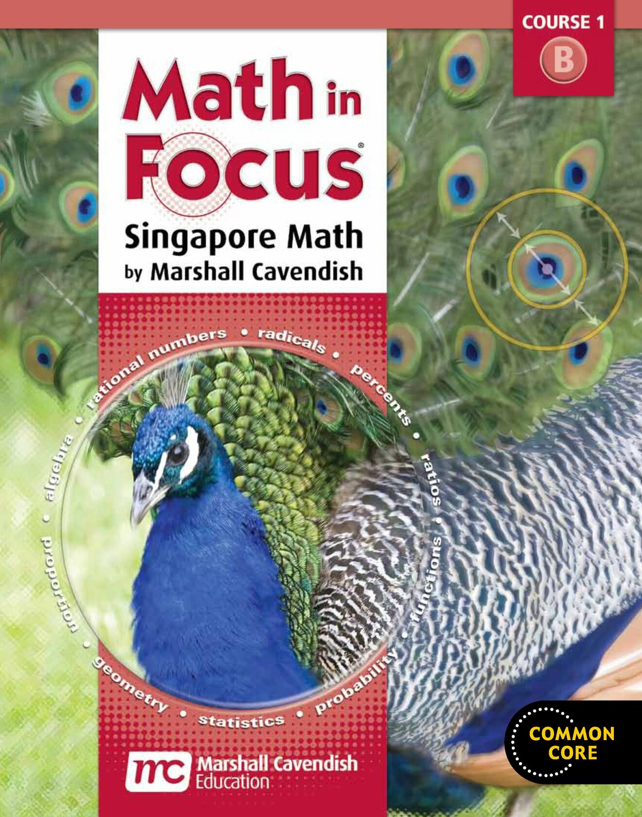 Math in Focus Homeschool Package, 2nd Semester Grade 6 (Math in Focus: Singapore Math)