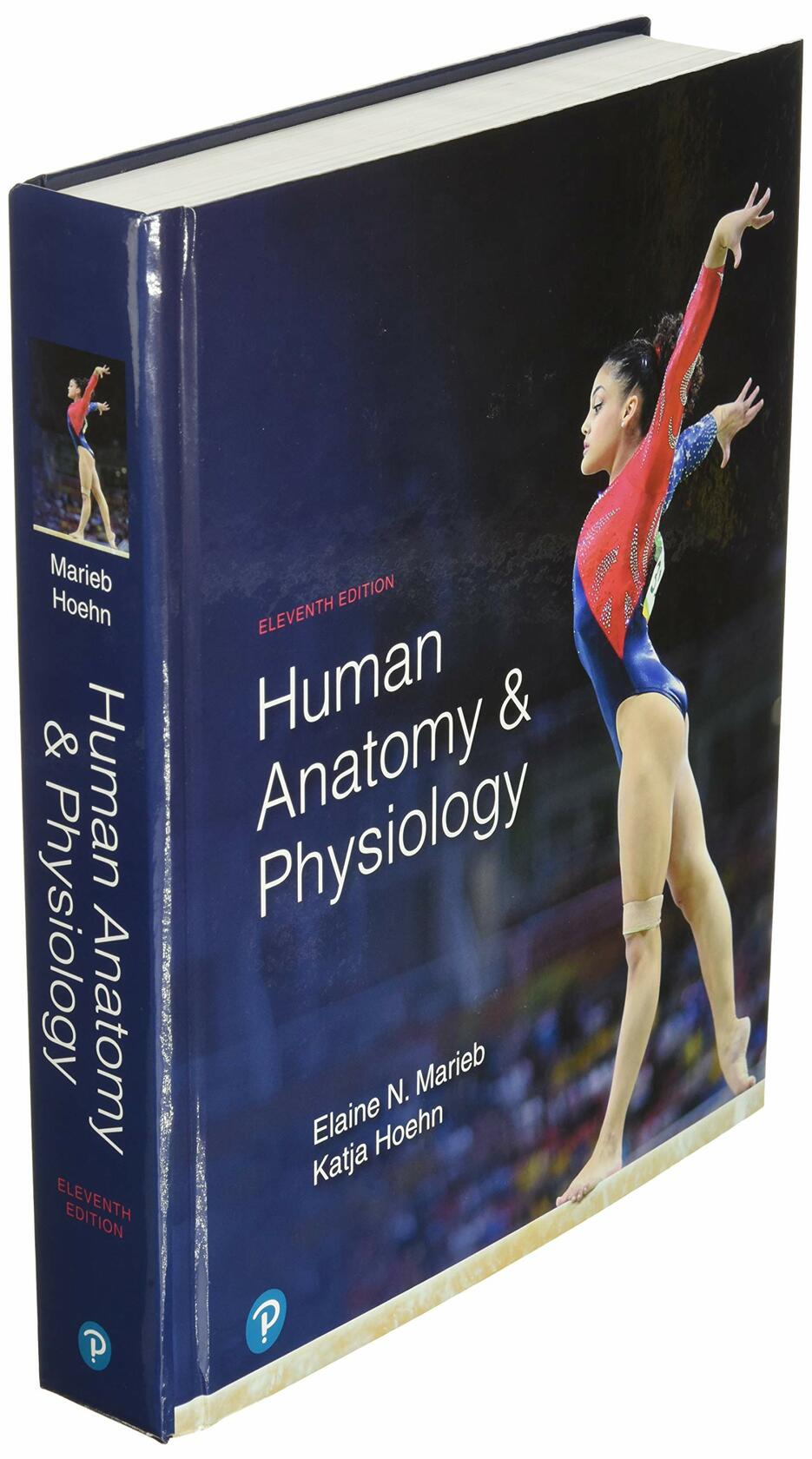 Human Anatomy & Physiology