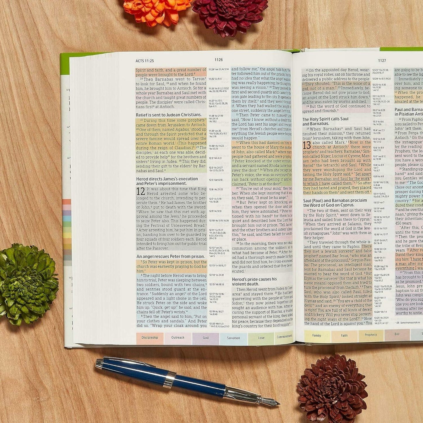 NIV Rainbow Study Bible, Jacketed Hardcover