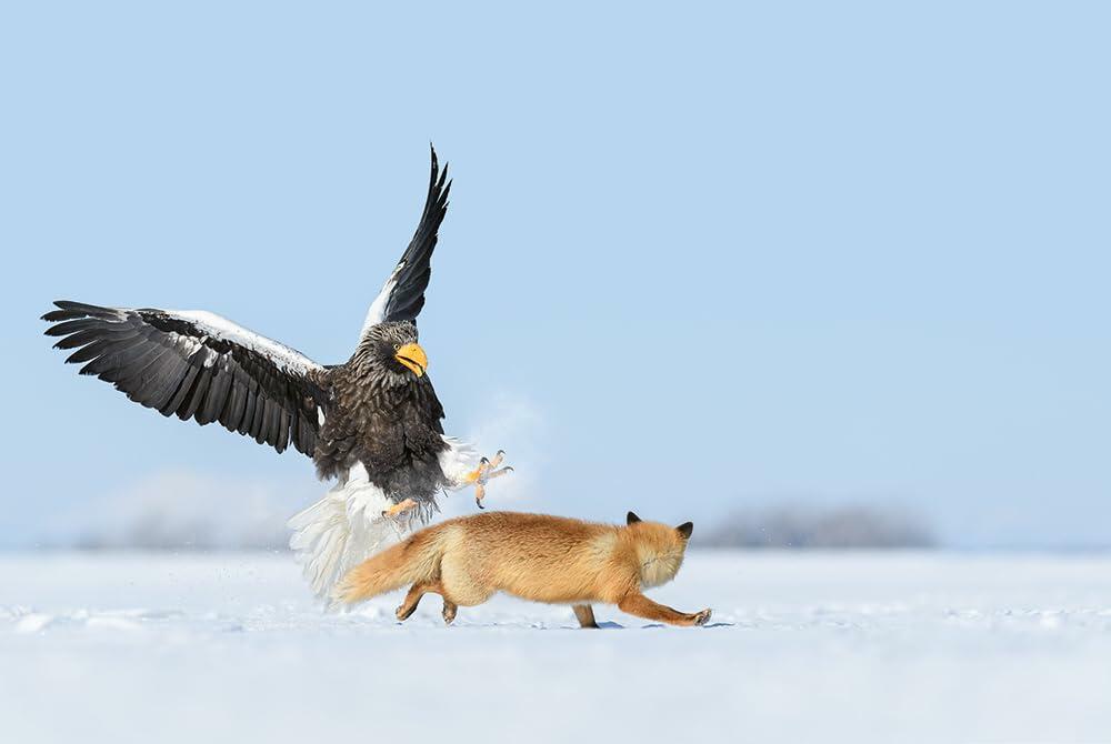 Mother: A Tribute to Mother Earth