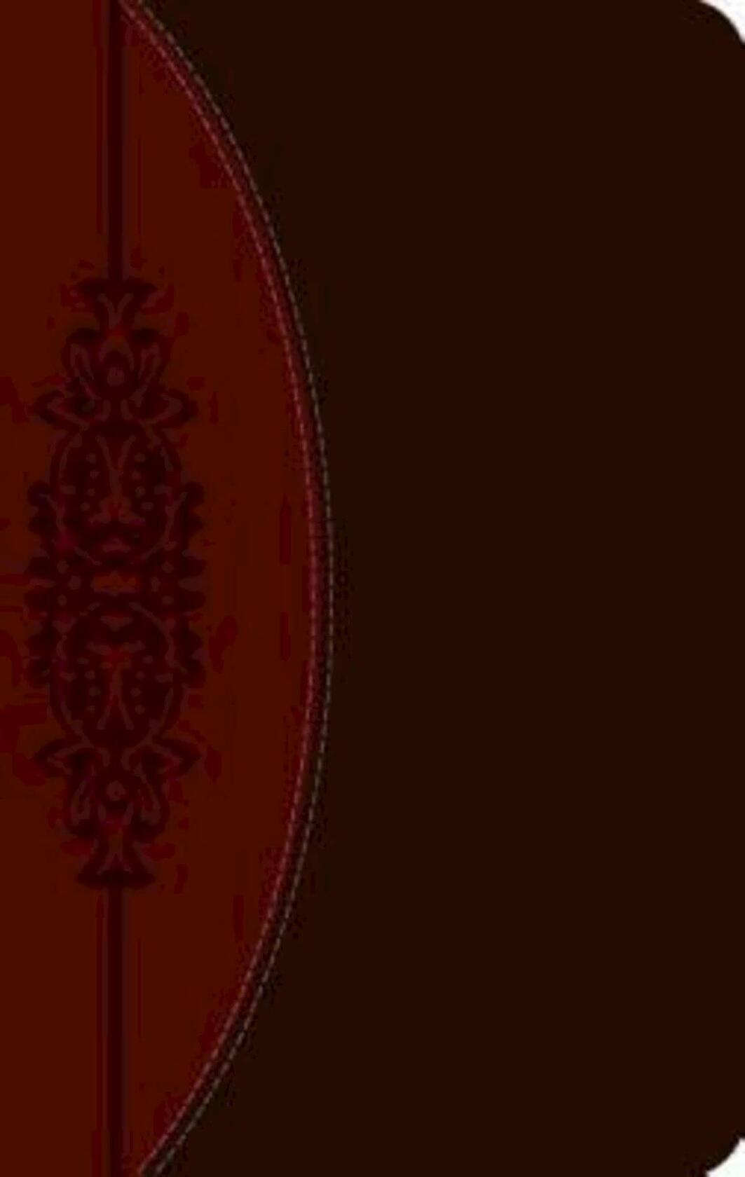 The CEB Wesley Study Bible