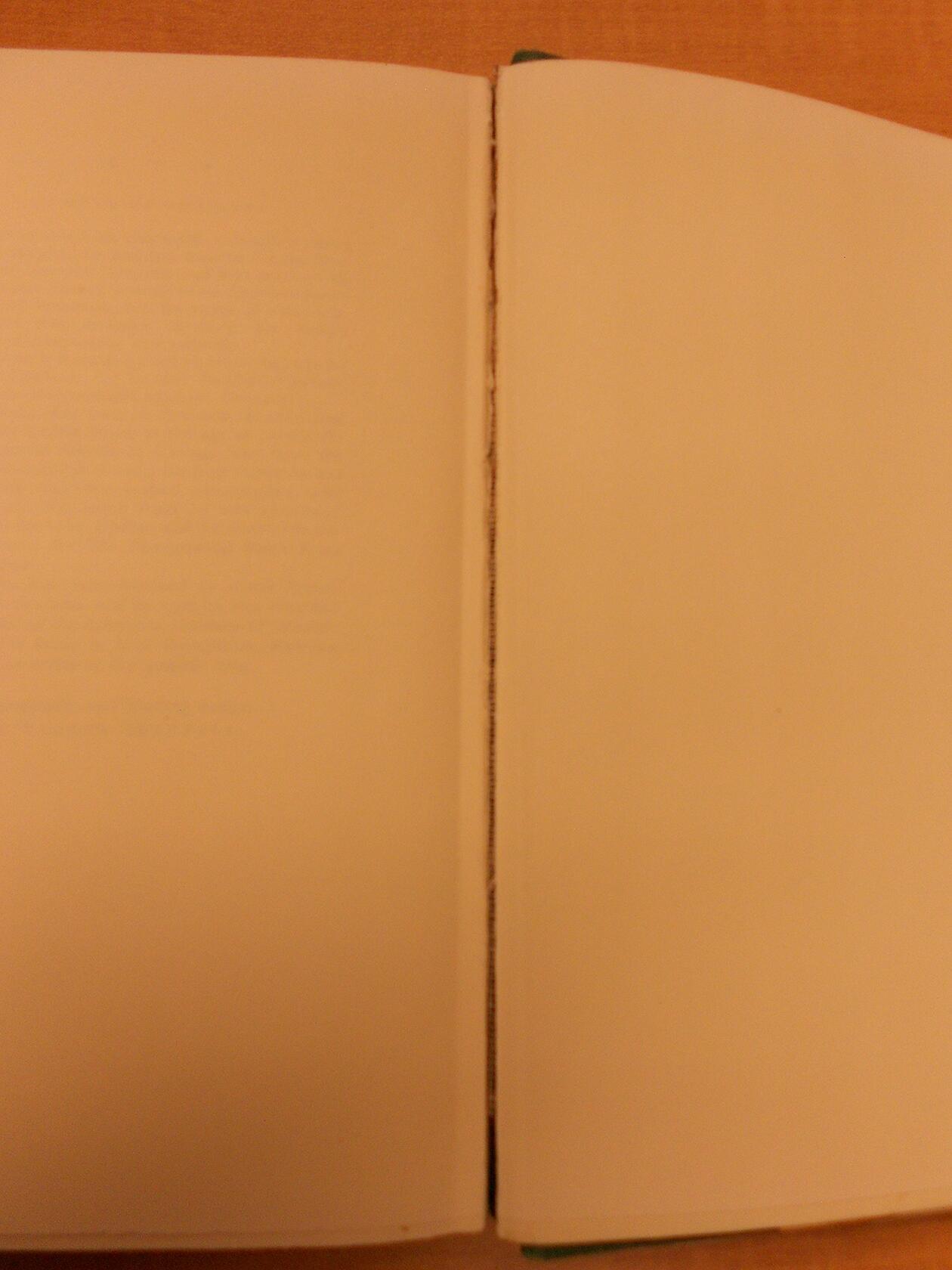 The Awakening Land: The Trees, The Fields, & The Town