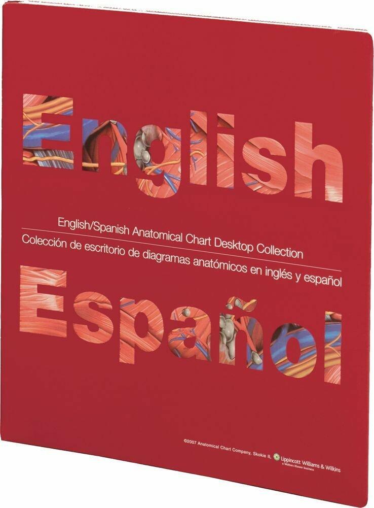 English/Spanish Anatomical Chart Desktop Collection (English and Spanish Edition)