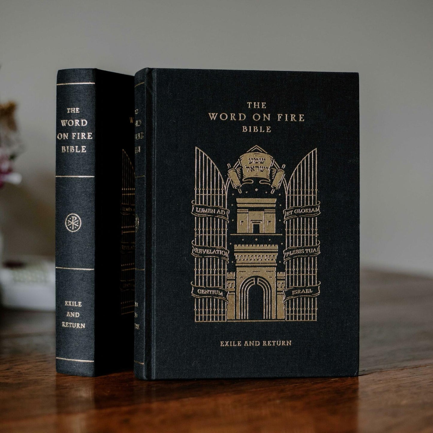 The Word on Fire Bible (Volume V): Exile and Return (Hardcover) (Word on Fire Bible Series)