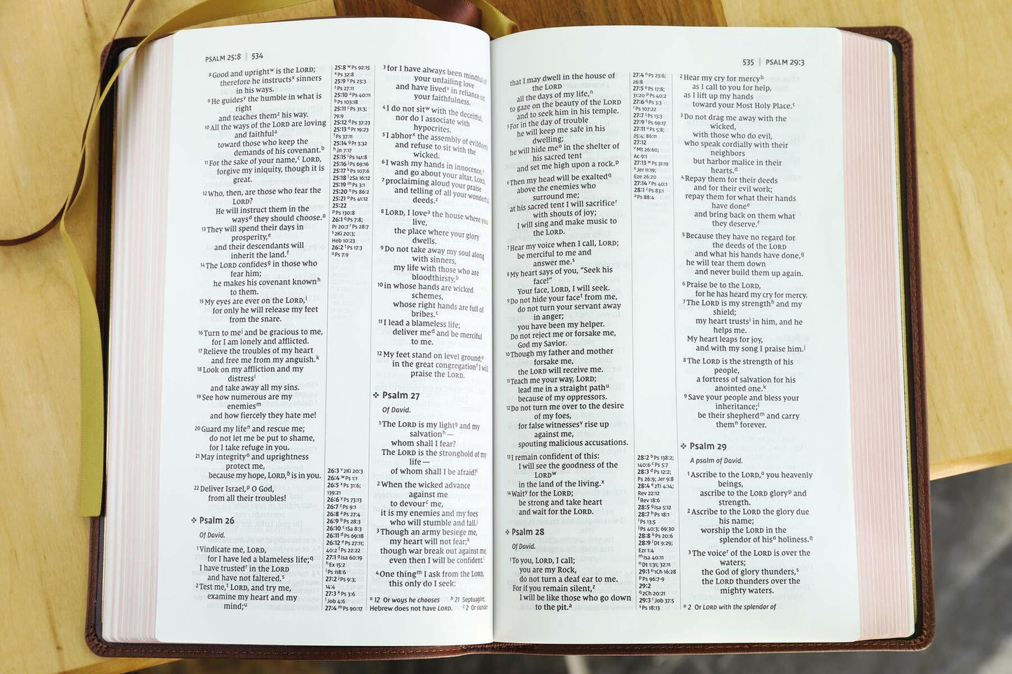 NIV, Thinline Reference Bible (Your Portable Reference Bible), Genuine Leather, Buffalo, Brown, Red Letter, Art Gilded Edges, Comfort Print