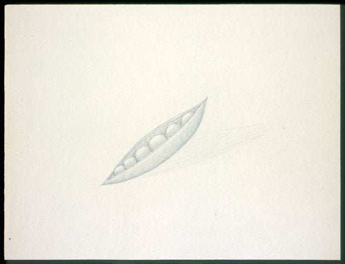 Architects Draw: Freehand Fundamentals
