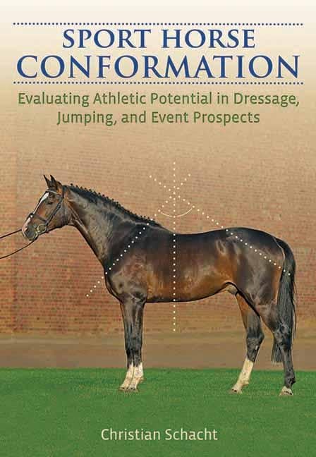 Sport Horse Conformation: Evaluating Athletic Potential in Dressage, Jumping and Eventing Prospects