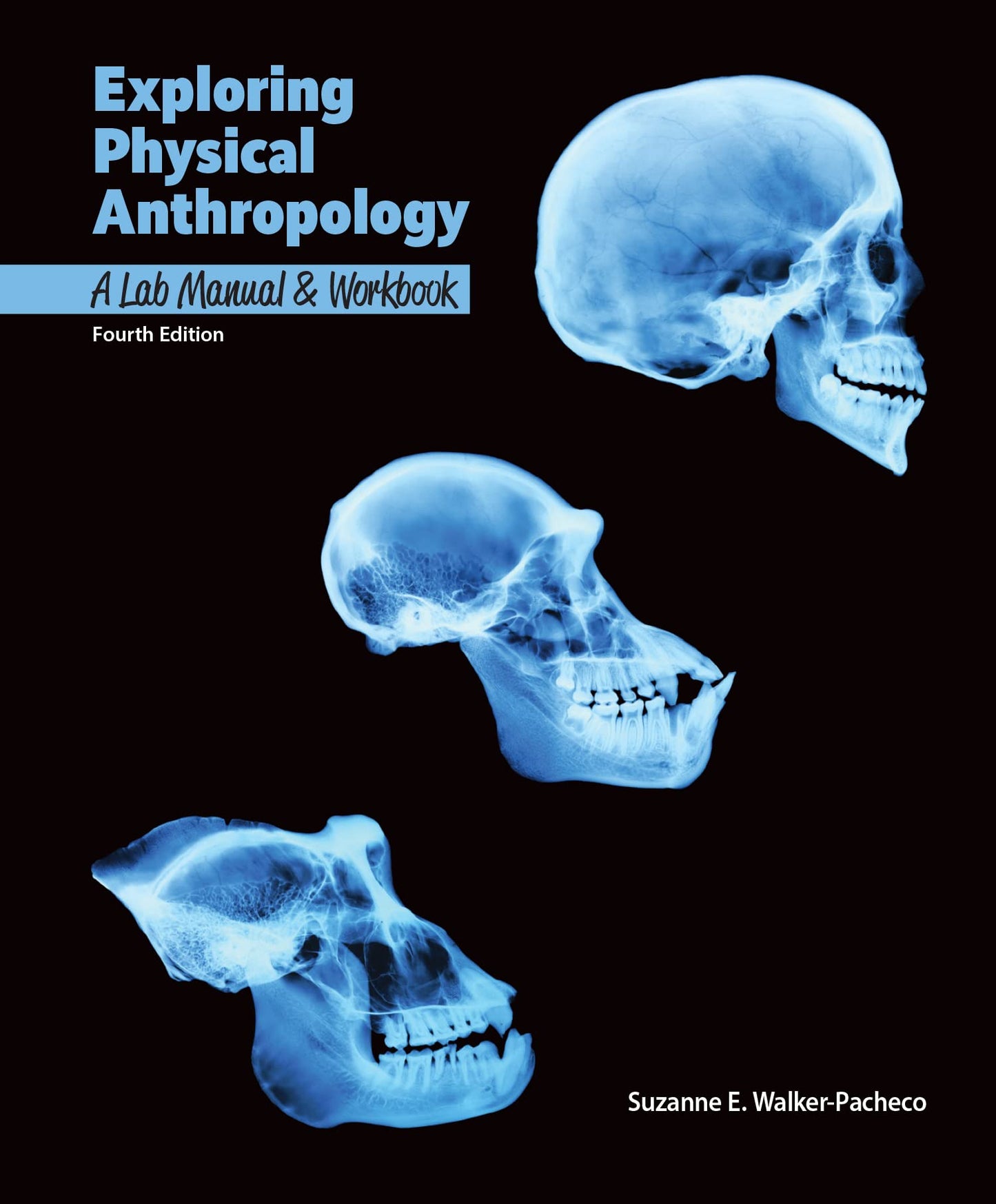 Exploring Physical Anthropology: A Lab Manual & Workbook