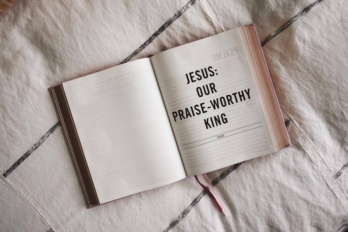 The Jesus Bible, ESV Edition, Leathersoft over Board, Pink: Sixty-Six Books. One Story. All About One Name.