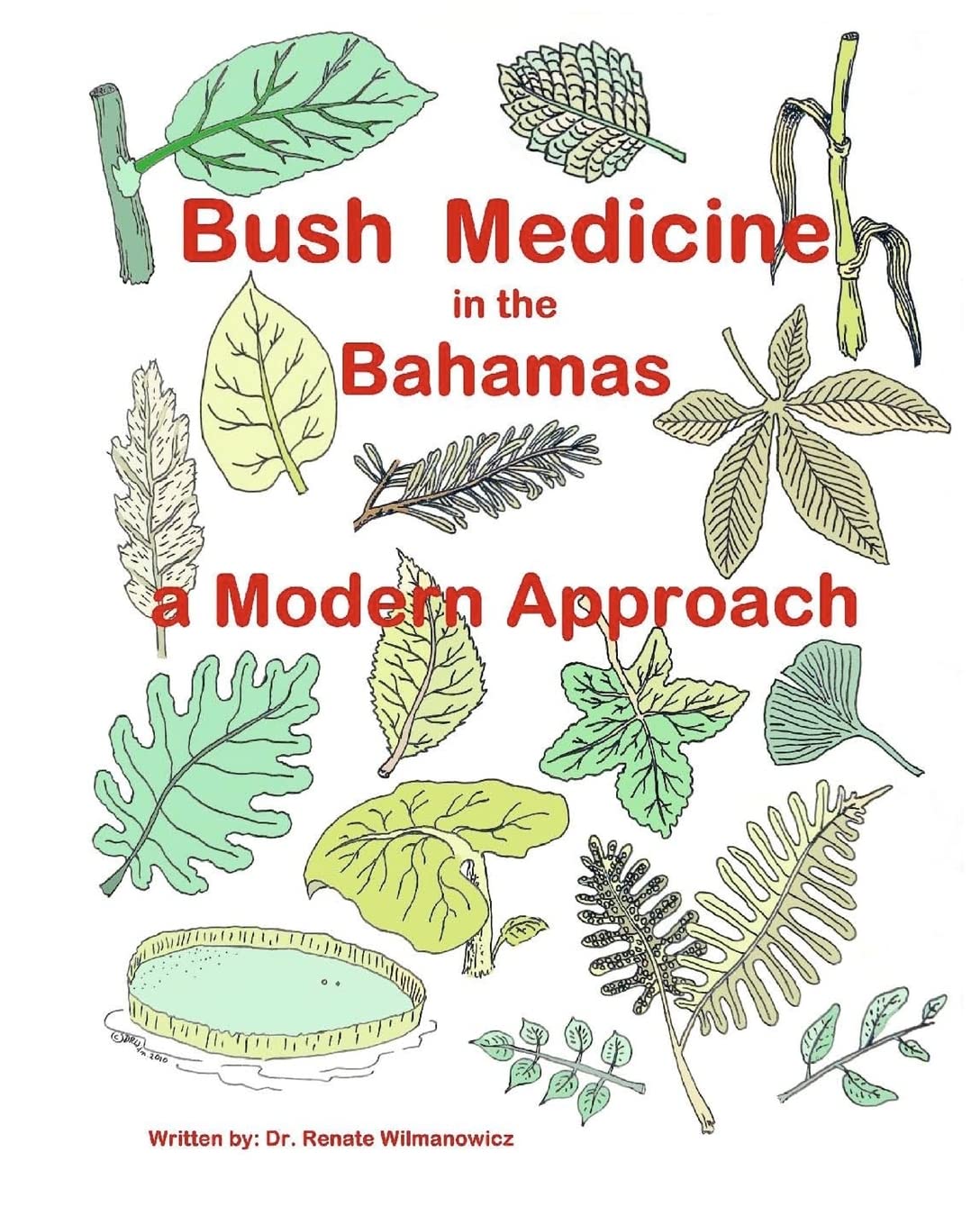 Bush Medicine in the Bahamas - A Modern Approach: Modern Phytotherapy is based on traditional Bush Medicines and plants are the foundation of many ... and should get more attention. (Volume 1)