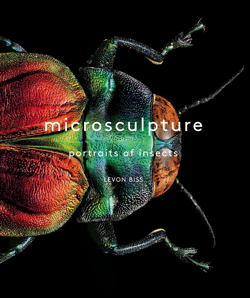 Microsculpture: The Mind-Blowing Microscopic World of Bugs, Beetles, and Moths in Stunning Detail