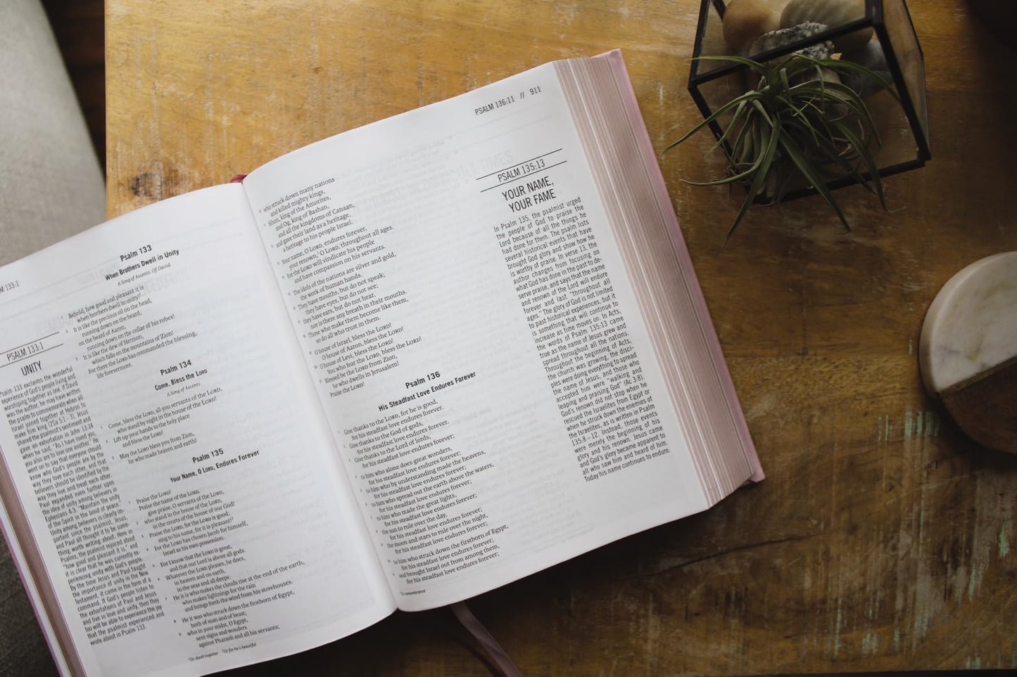 The Jesus Bible, ESV Edition, Leathersoft over Board, Pink: Sixty-Six Books. One Story. All About One Name.