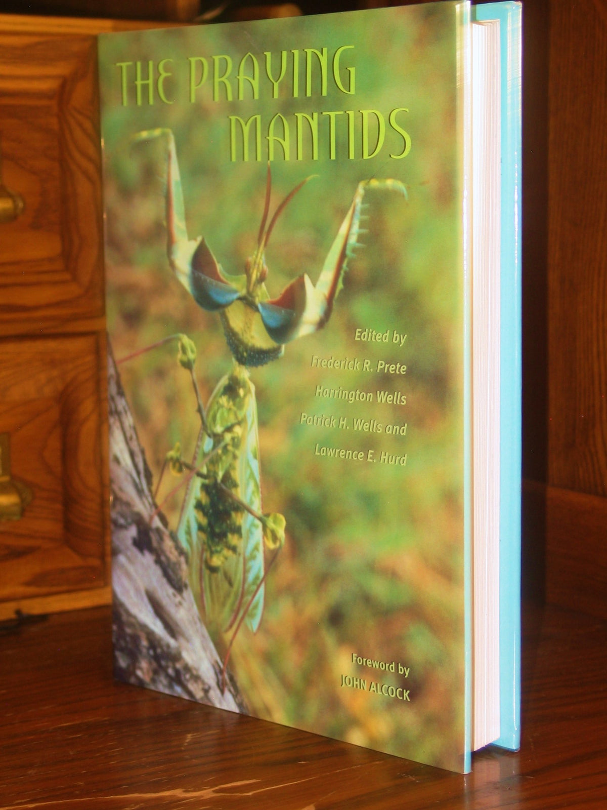 The Praying Mantids