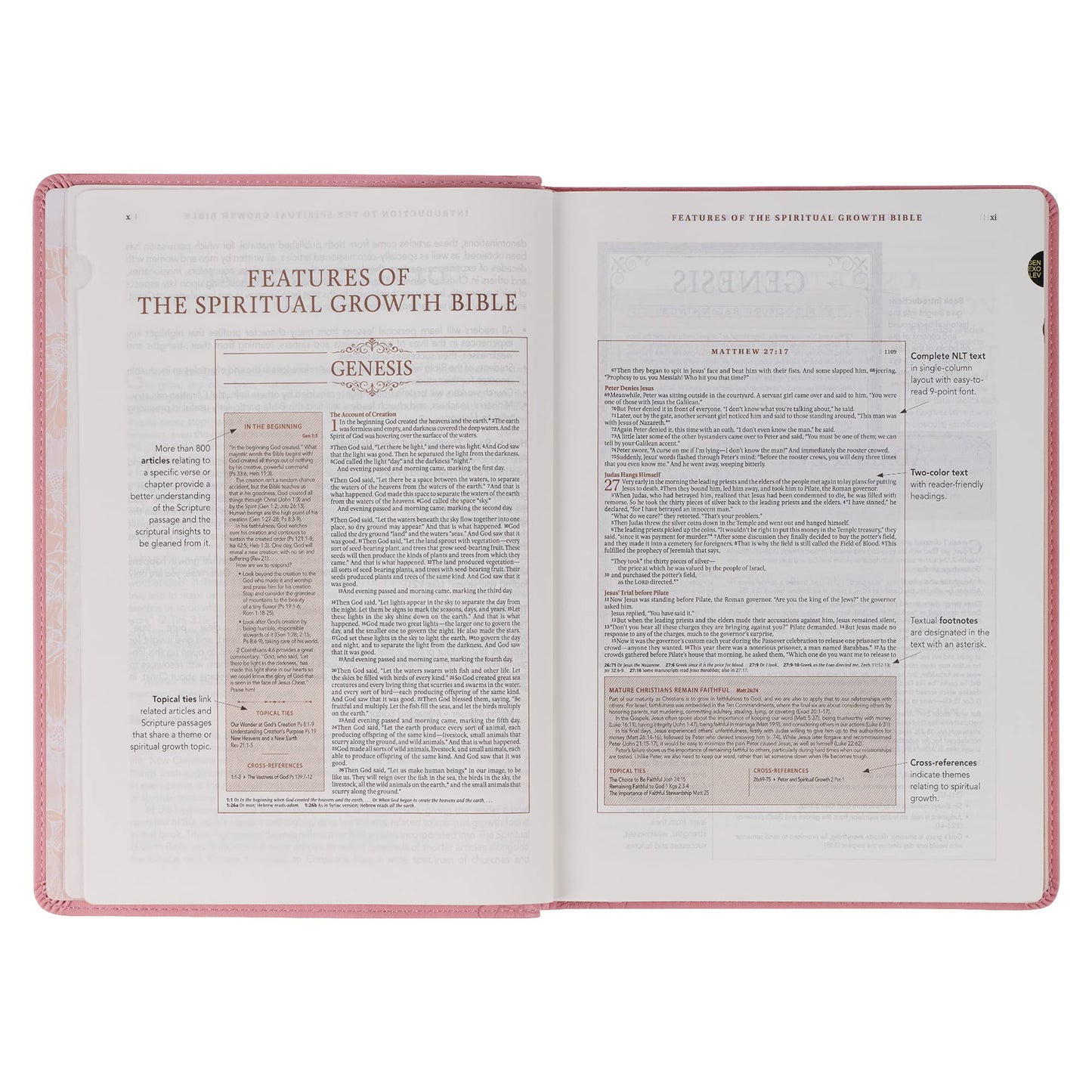 The Spiritual Growth Bible, Study Bible, NLT - New Living Translation Holy Bible, Faux Leather, Pink (NLT Spiritual Growth Editions)