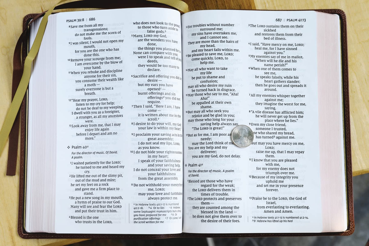 NIV, Thinline Bible, Giant Print, Genuine Leather, Buffalo, Brown, Red Letter, Art Gilded Edges, Comfort Print