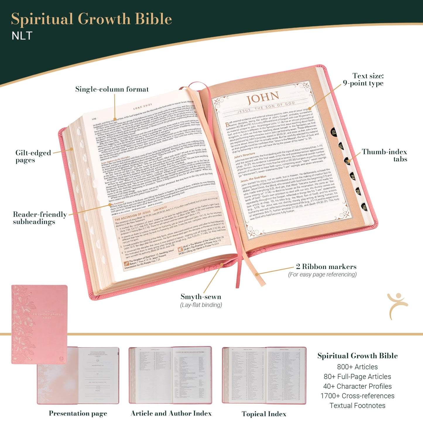 The Spiritual Growth Bible, Study Bible, NLT - New Living Translation Holy Bible, Faux Leather, Pink (NLT Spiritual Growth Editions)