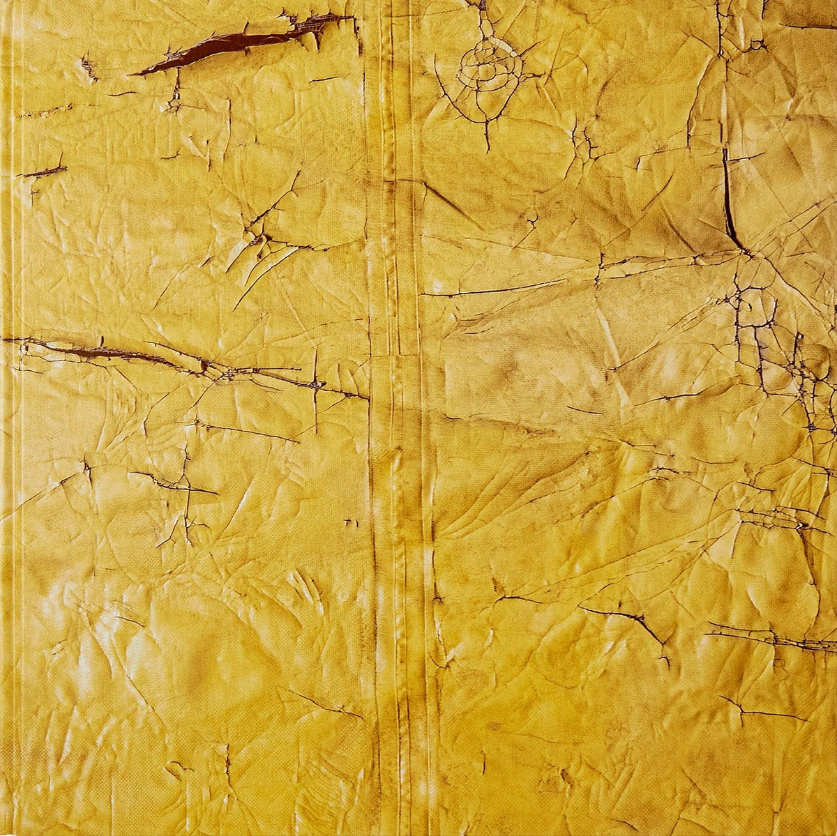 David Hammons