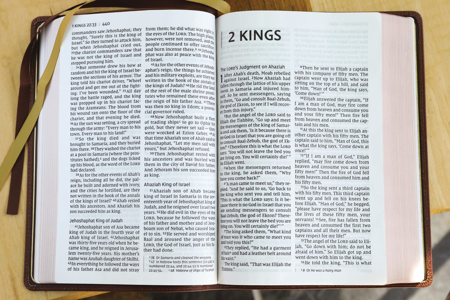 NIV, Thinline Bible, Giant Print, Genuine Leather, Buffalo, Brown, Red Letter, Art Gilded Edges, Comfort Print