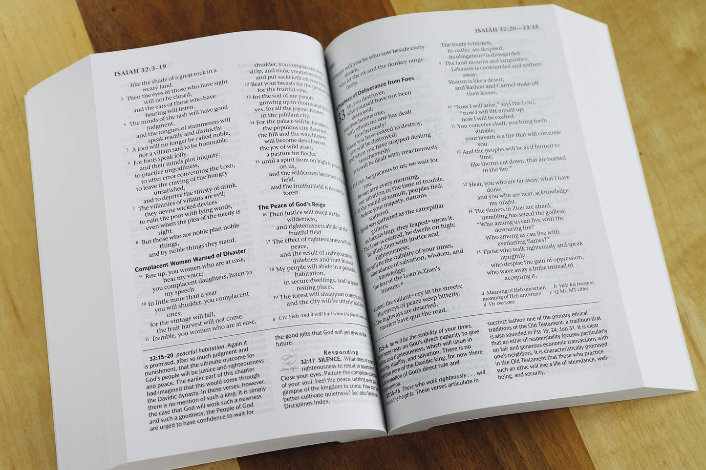 The Life with God Bible NRSV (Compact, Trade PB) (A Renovare Resource)