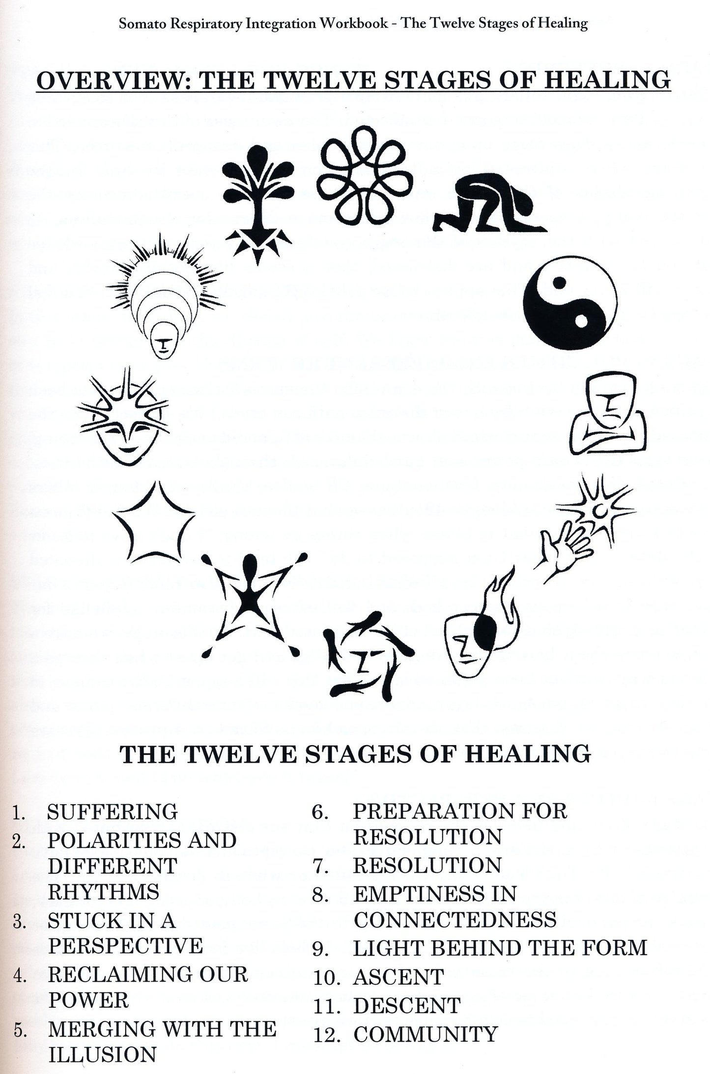 Somato Respiratory Integration Workbook