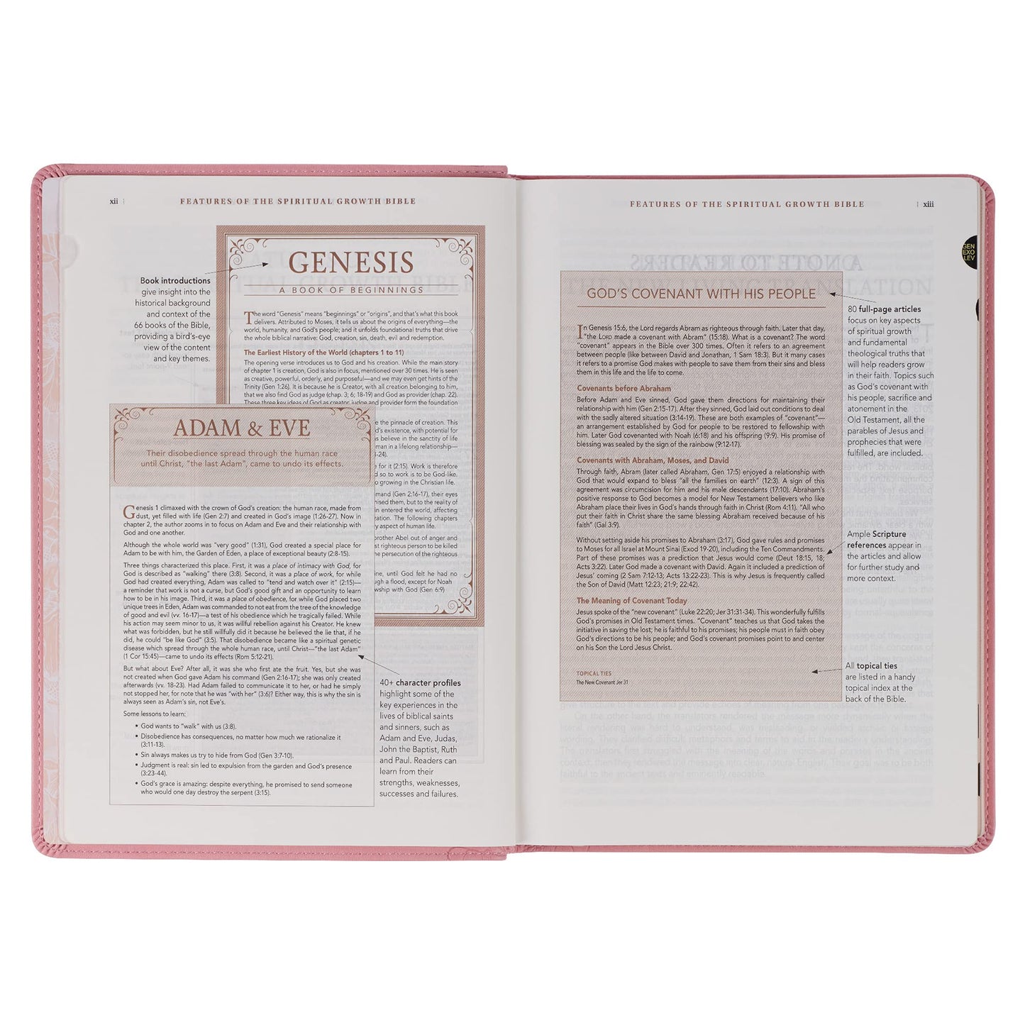 The Spiritual Growth Bible, Study Bible, NLT - New Living Translation Holy Bible, Faux Leather, Pink (NLT Spiritual Growth Editions)