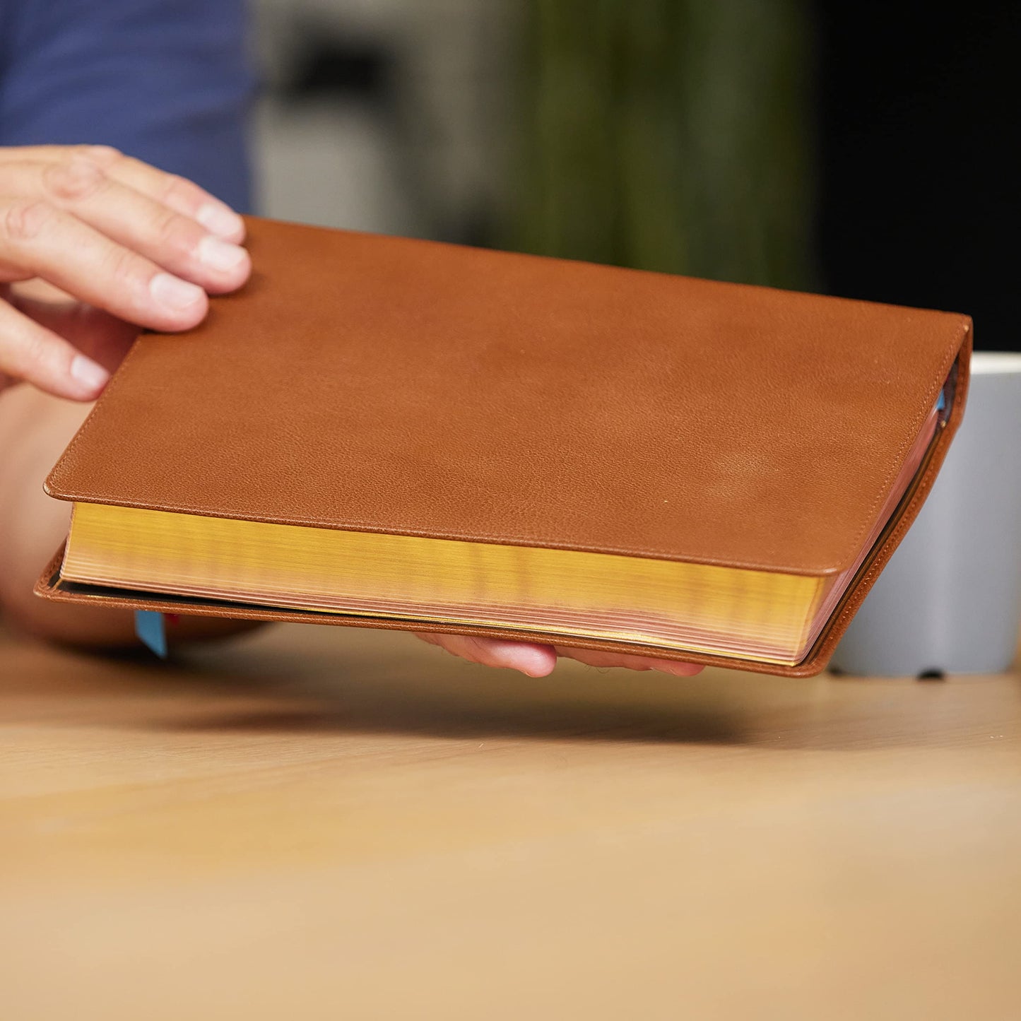 NKJV, Reference Bible, Classic Verse-by-Verse, Center-Column, Premium Goatskin Leather, Brown, Premier Collection, Red Letter, Comfort Print: Holy Bible, New King James Version