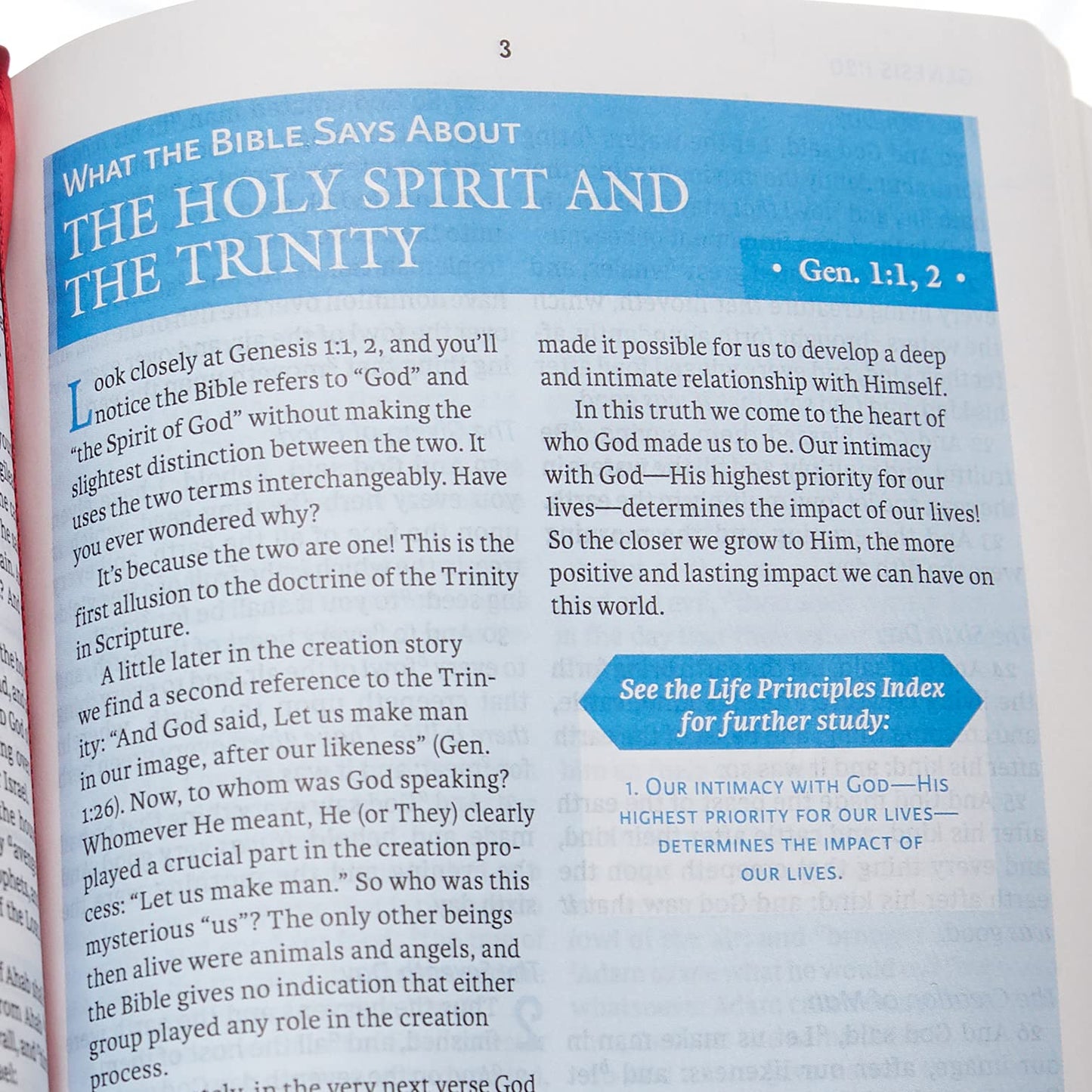 NASB, Charles F. Stanley Life Principles Bible, 2nd Edition, Leathersoft, Burgundy, Thumb Indexed, 1995 Text, Comfort Print: Holy Bible, New American Standard Bible
