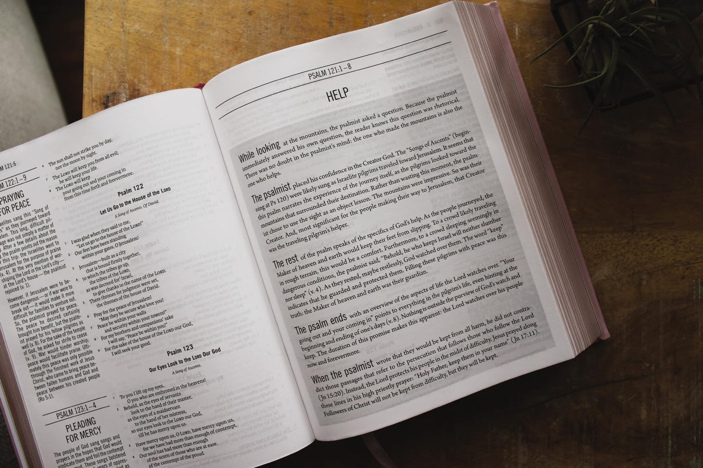 The Jesus Bible, ESV Edition, Leathersoft over Board, Pink: Sixty-Six Books. One Story. All About One Name.