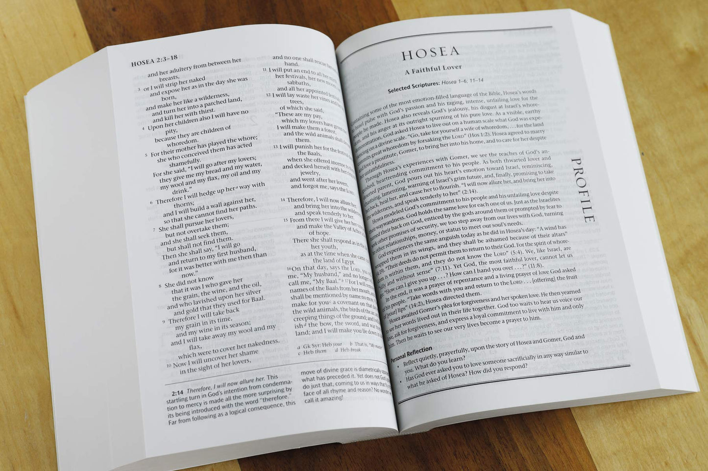 The Life with God Bible NRSV (Compact, Trade PB) (A Renovare Resource)