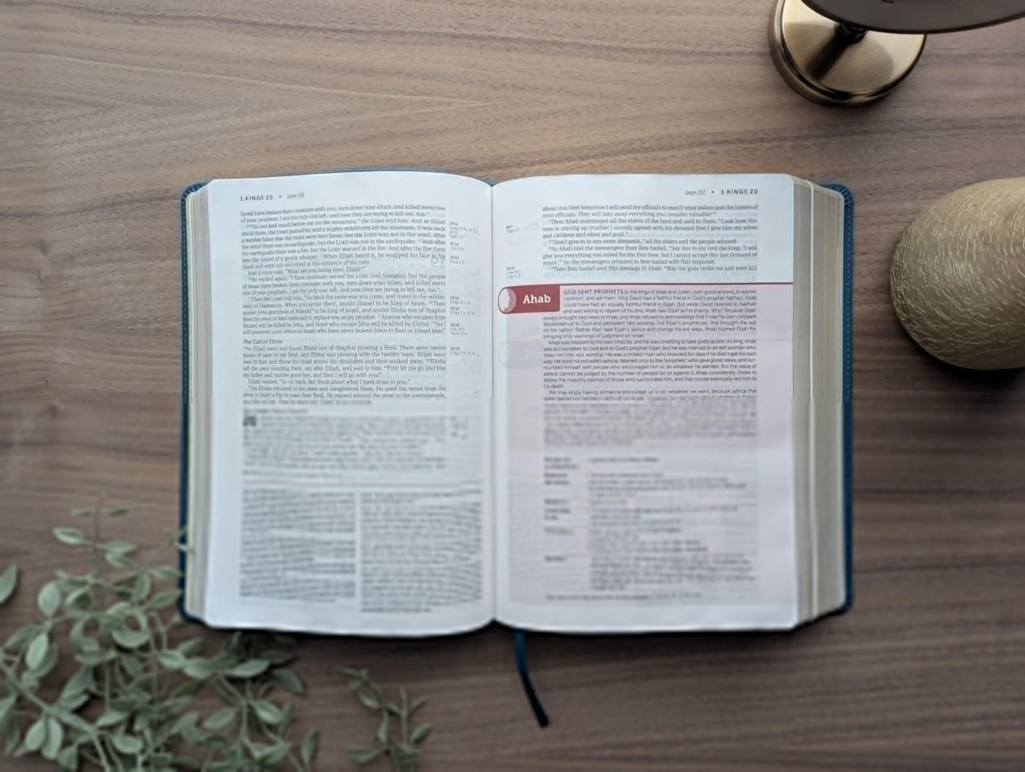 NLT Life Application Study Bible, Third Edition (LeatherLike, Teal Blue, Red Letter)