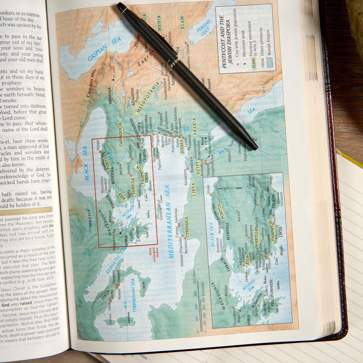 KJV Study Bible Large Print Edition, Saddle Brown LeatherTouch