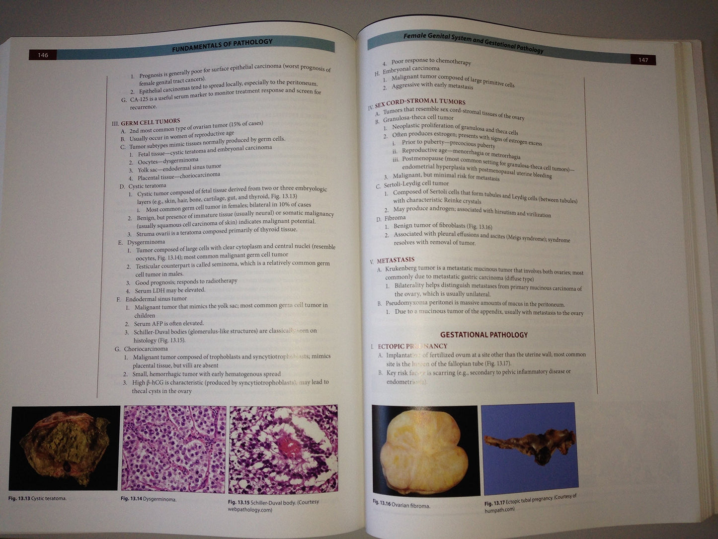 Fundamentals of Pathology