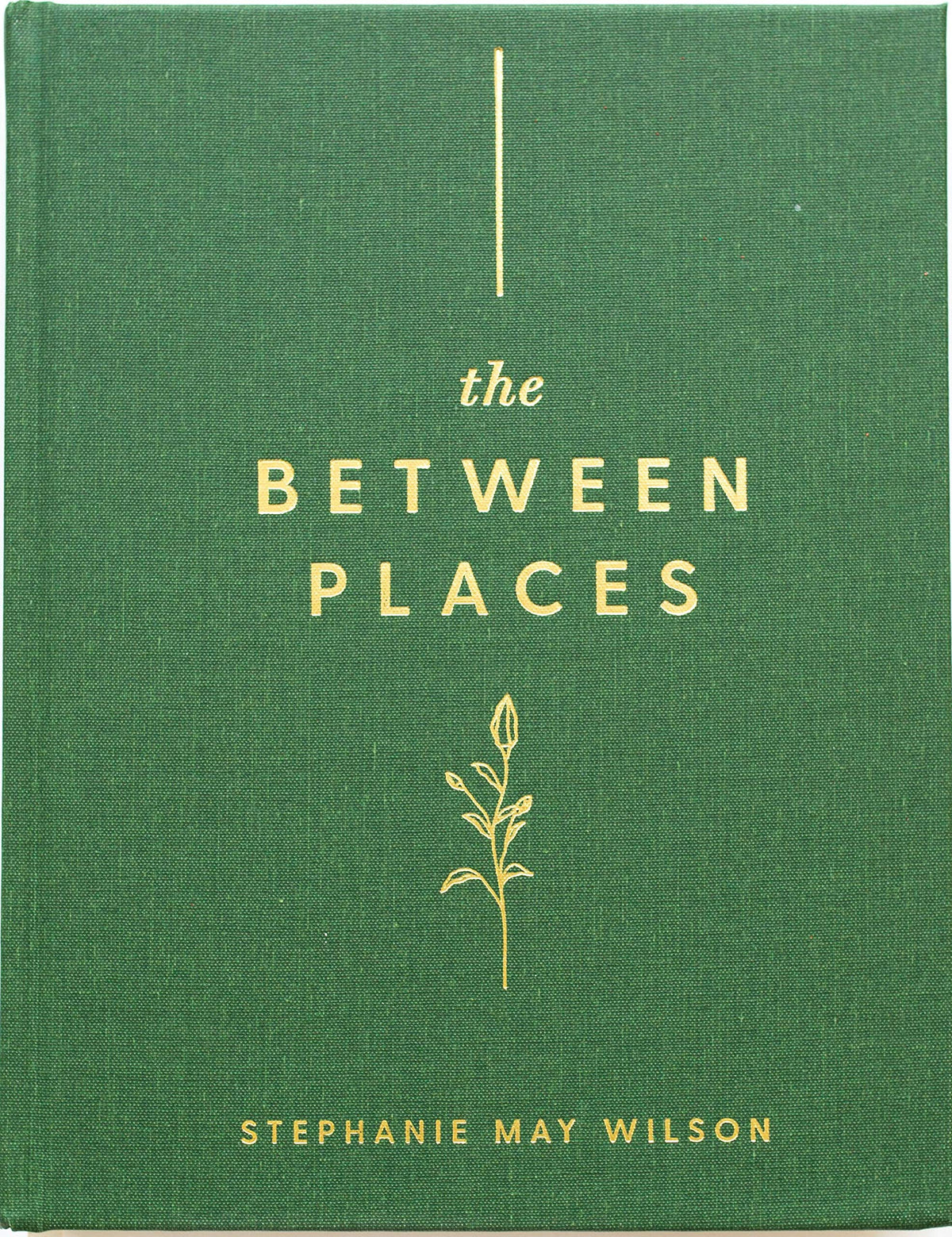 The Between Places: 100 days to trusting God when you don’t know what’s next