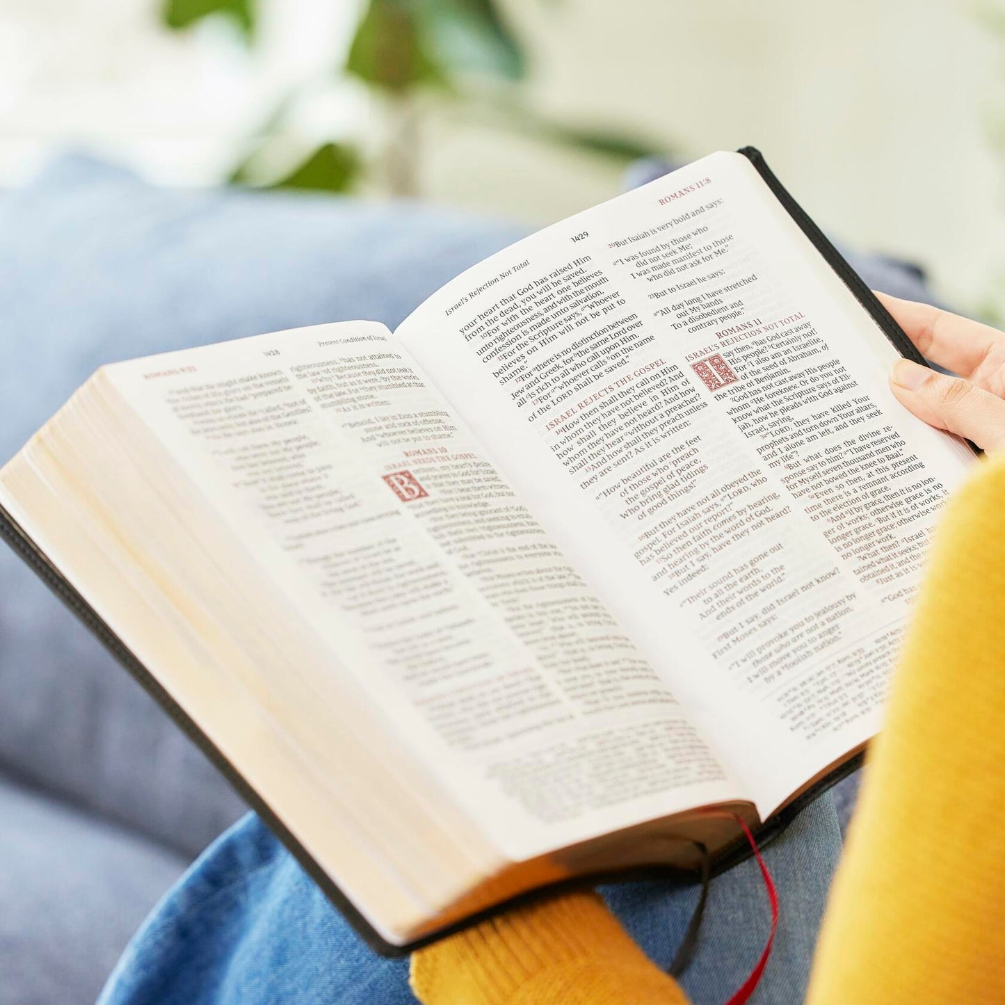 NKJV Large Print Reference Bible, Brown Leathersoft, Red Letter, Comfort Print (Sovereign Collection): Holy Bible, New King James Version [Imitation Leather] Thomas Nelson