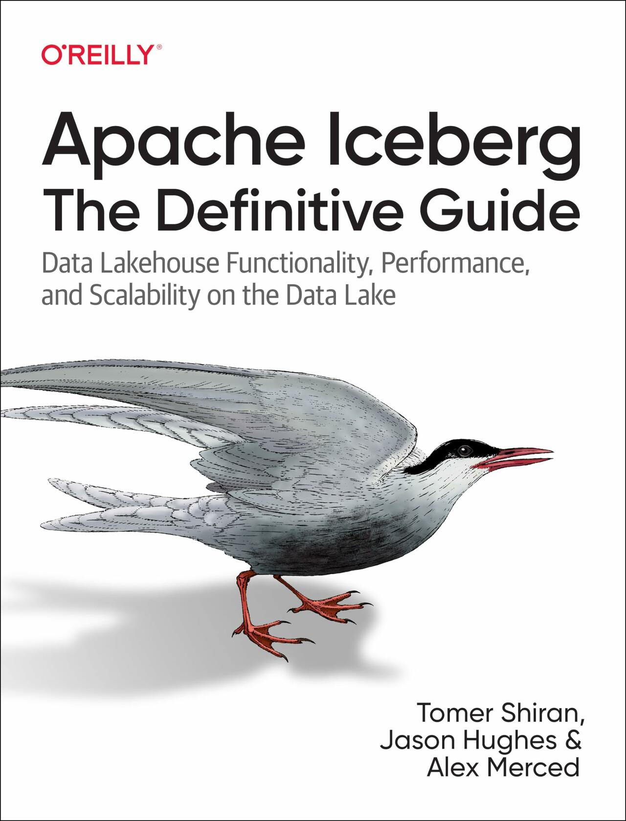 Apache Iceberg: The Definitive Guide: Data Lakehouse Functionality, Performance, and Scalability on the Data Lake [Paperback] Shiran, Tomer; Hughes, Jason and Merced, Alex