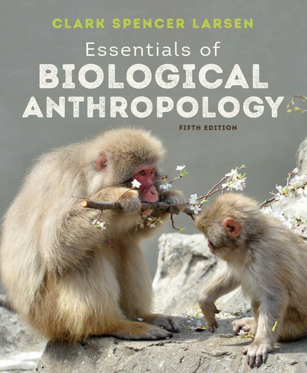 Essentials of Biological Anthropology [Paperback] Larsen, Clark Spencer