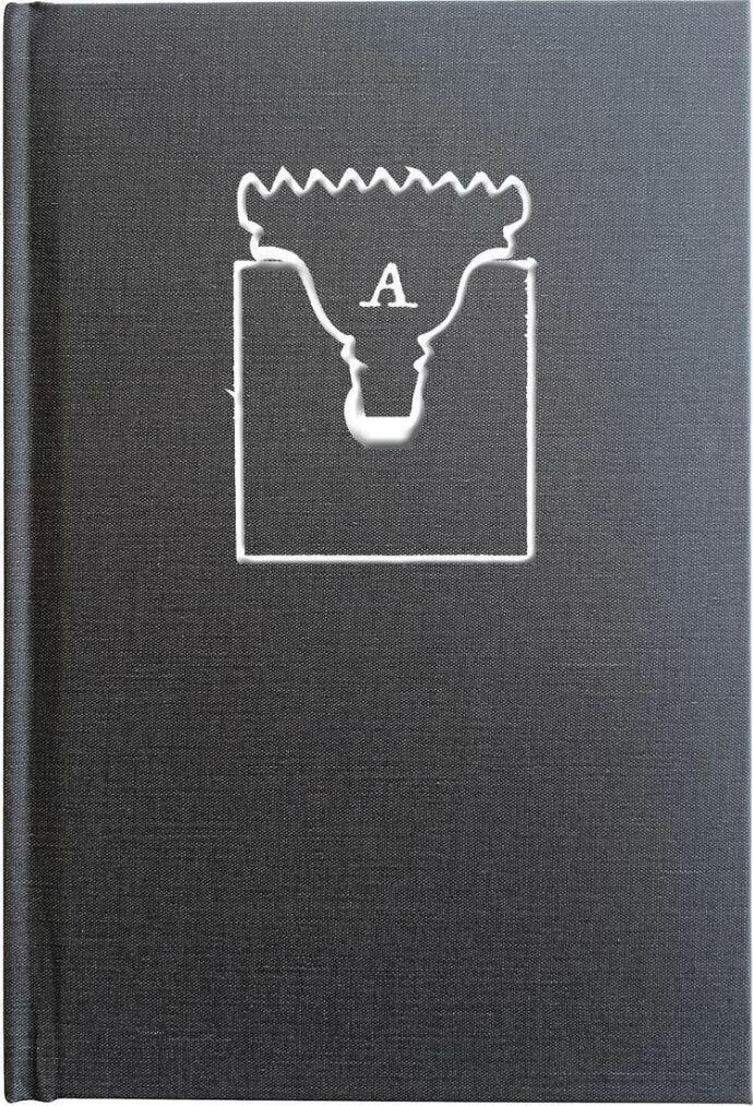 The Anarchist's Workbench [Hardcover] Christopher Schwarz