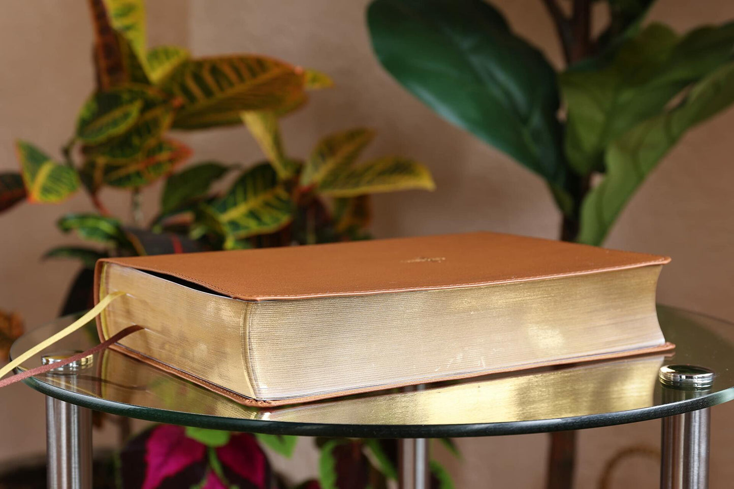 NASB, Thompson Chain-Reference Bible, Leathersoft, Brown, 1995 Text, Red Letter, Comfort Print