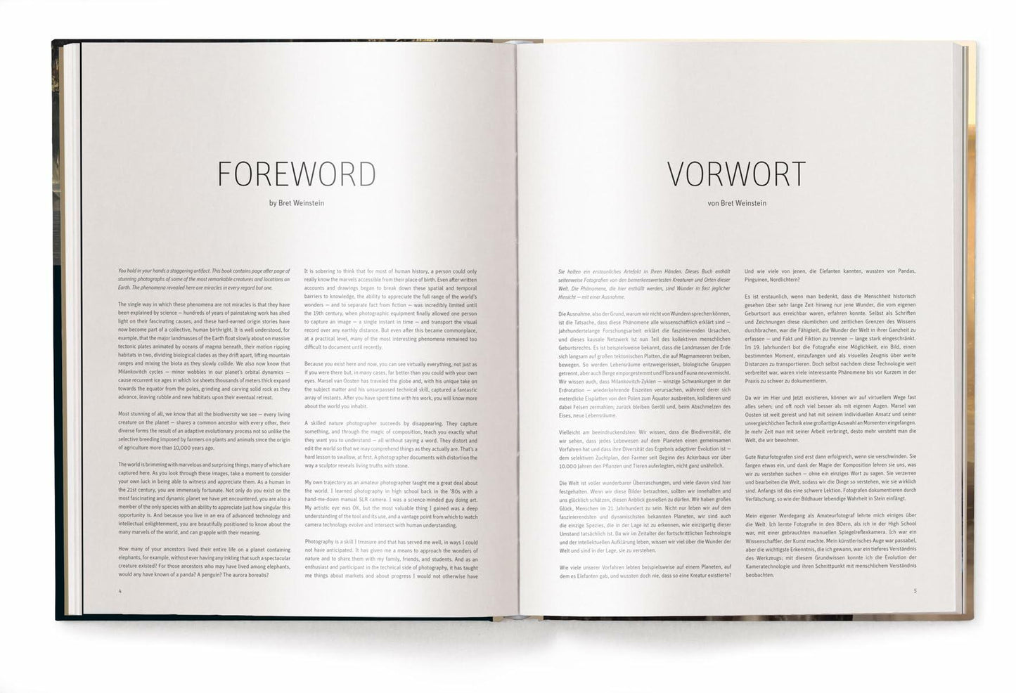 Mother: A Tribute to Mother Earth