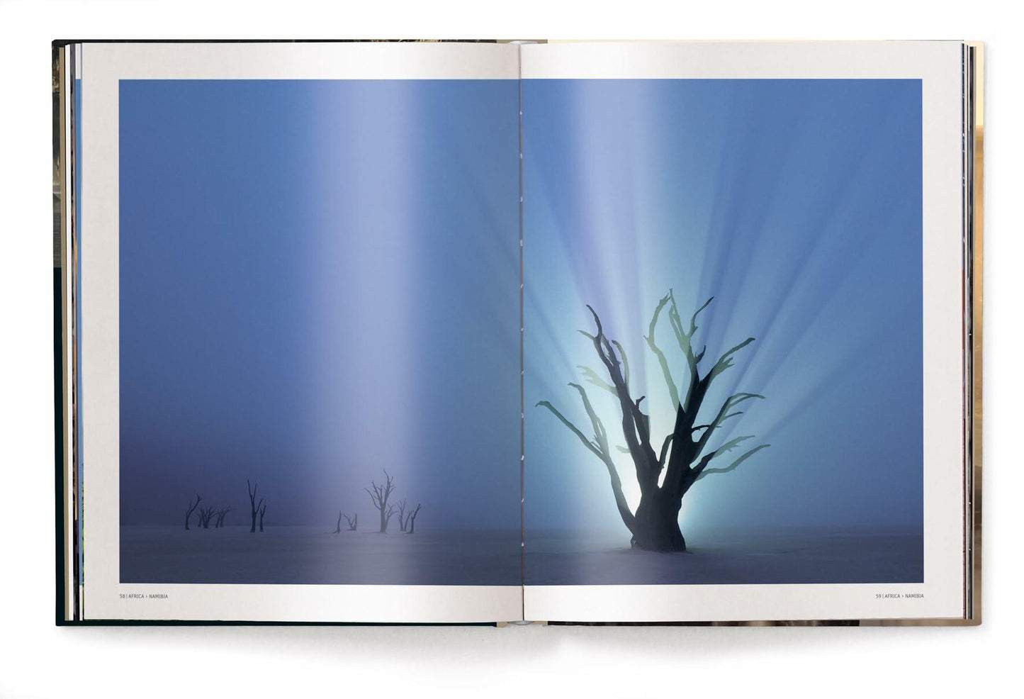 Mother: A Tribute to Mother Earth