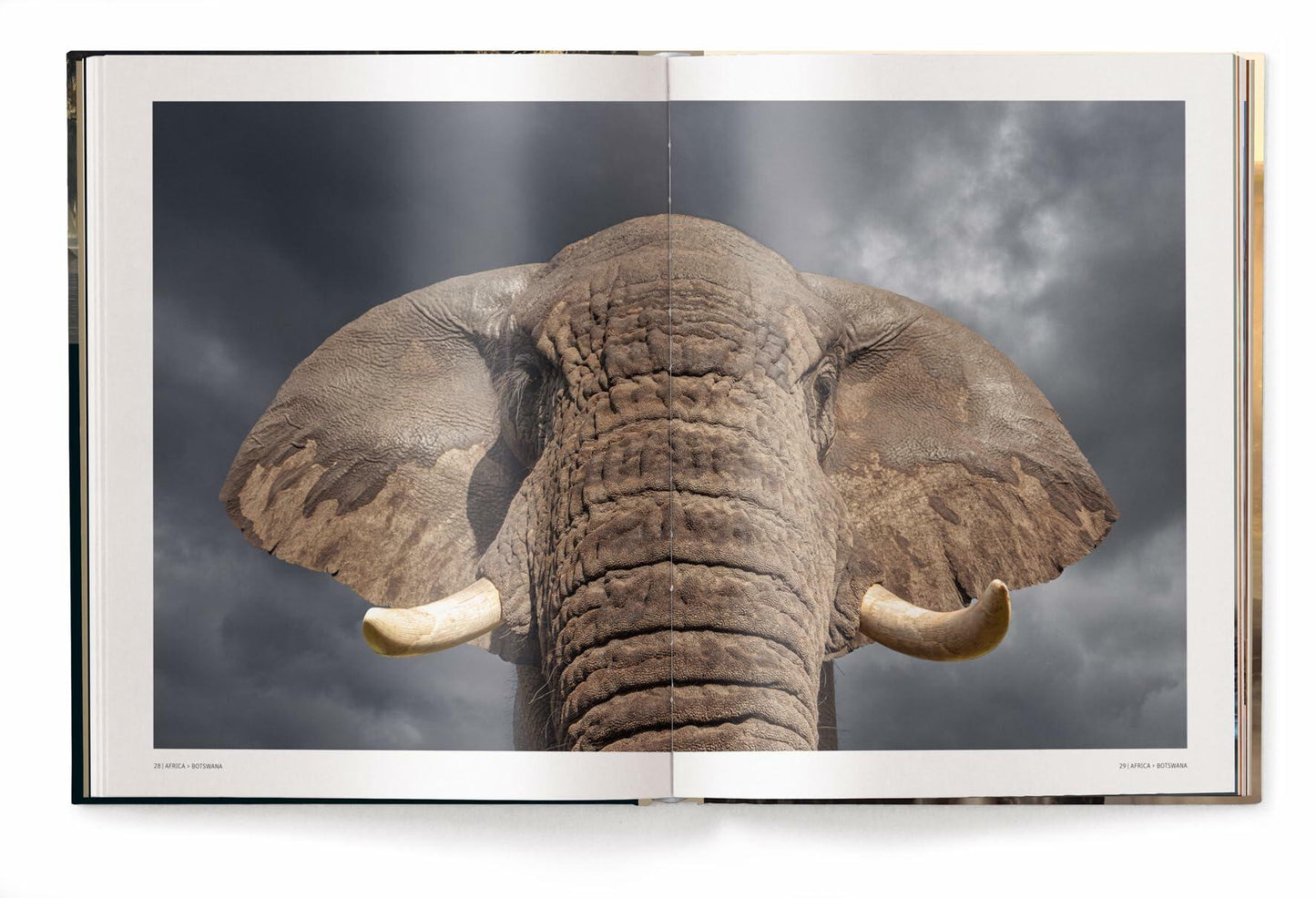 Mother: A Tribute to Mother Earth