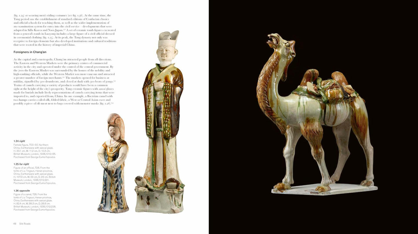 Silk Roads /anglais