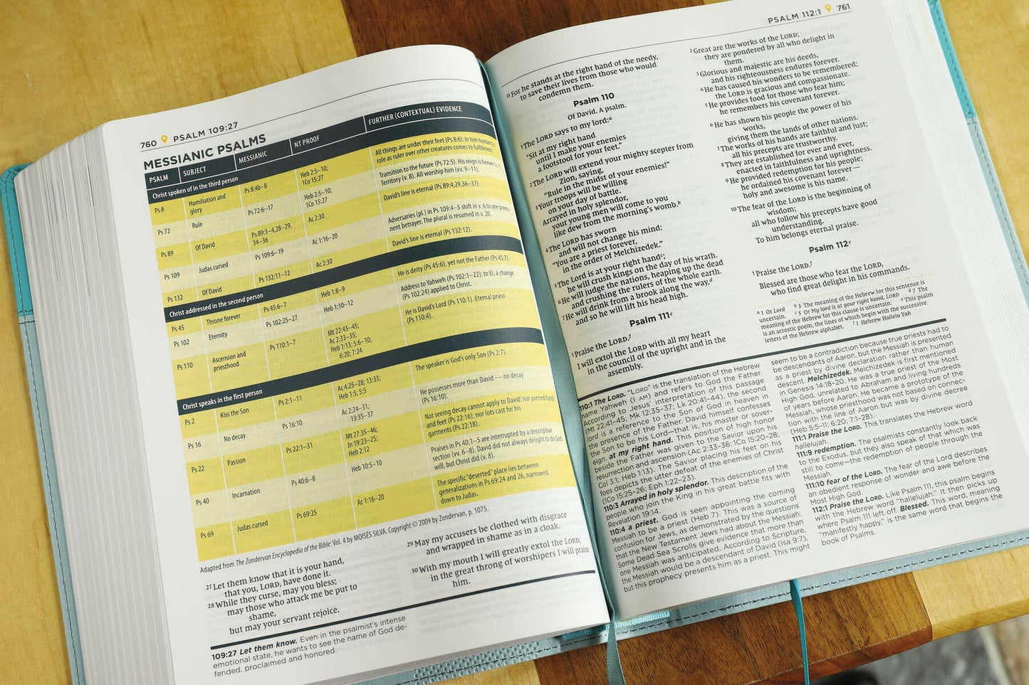 NIV, Starting Place Study Bible (An Introductory Study Bible), Leathersoft, Teal, Comfort Print: An Introductory Exploration of Studying God's Word