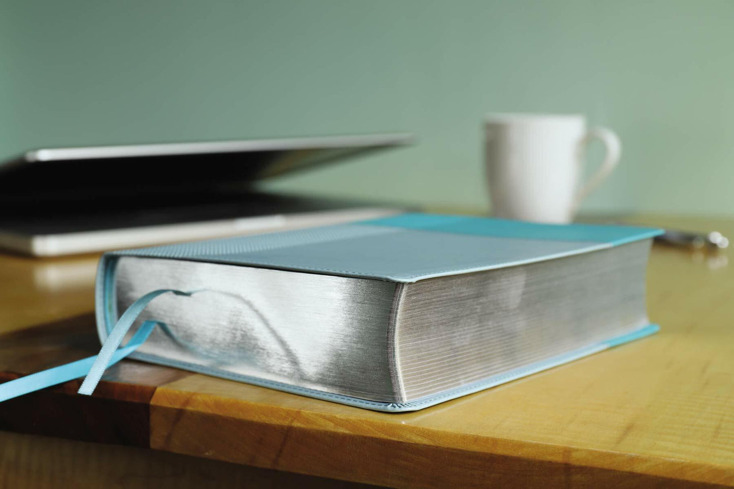 NIV, Starting Place Study Bible (An Introductory Study Bible), Leathersoft, Teal, Comfort Print: An Introductory Exploration of Studying God's Word