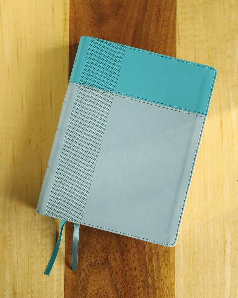 NIV, Starting Place Study Bible (An Introductory Study Bible), Leathersoft, Teal, Comfort Print: An Introductory Exploration of Studying God's Word