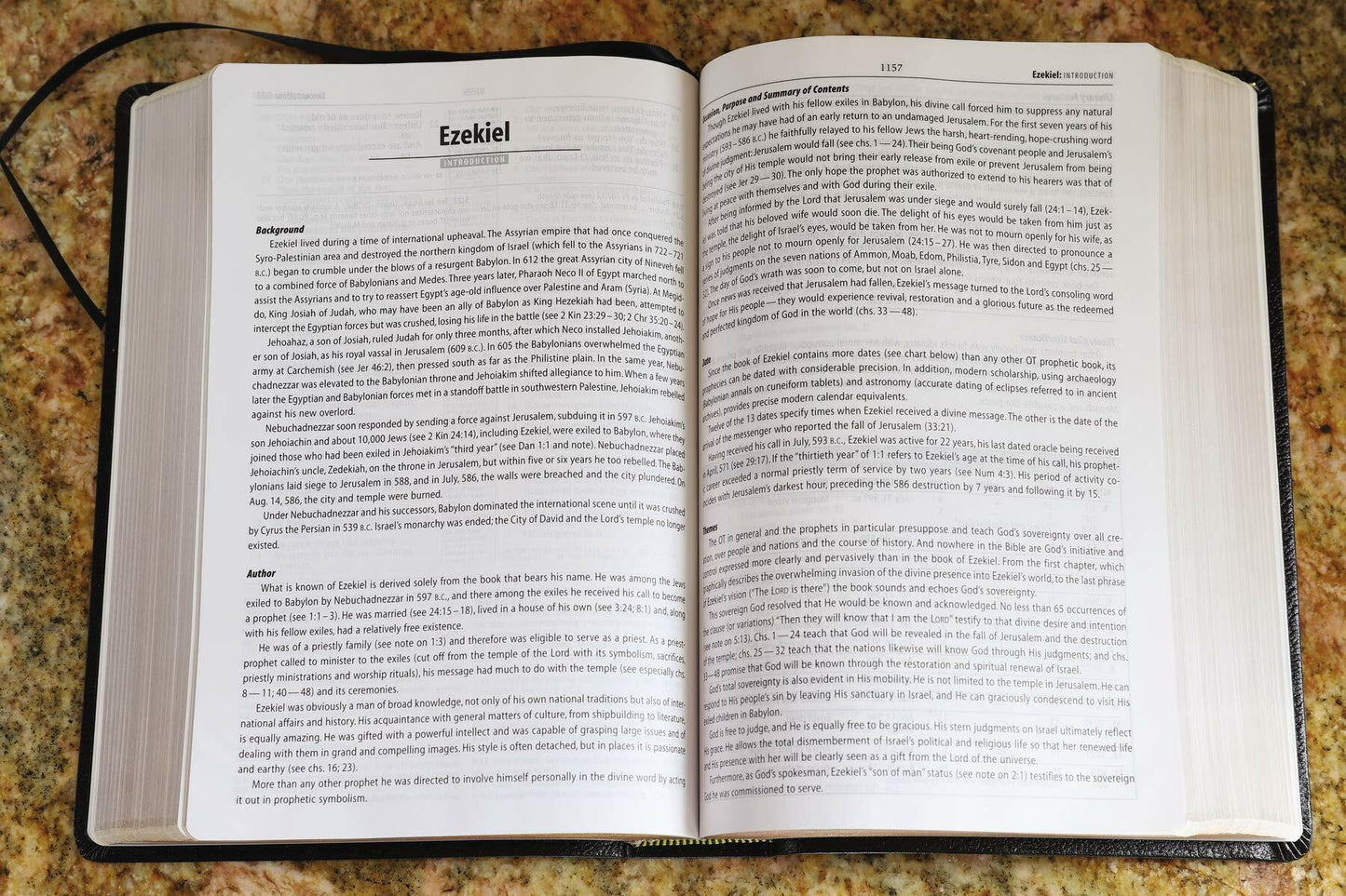 NASB Study Bible, Black