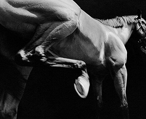 American Thoroughbred